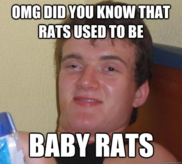 omg did you know that rats used to be baby rats  10 Guy