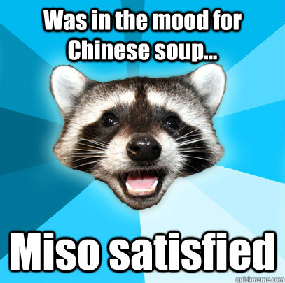 Was in the mood for Chinese soup... Miso satisfied  Lame Pun Coon