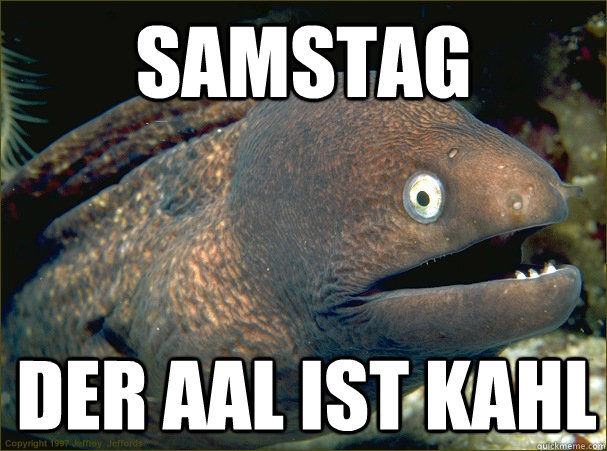 Samstag der aal ist kahl - Samstag der aal ist kahl  Bad Joke Eel