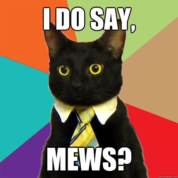 I do say, mews?  Business Cat