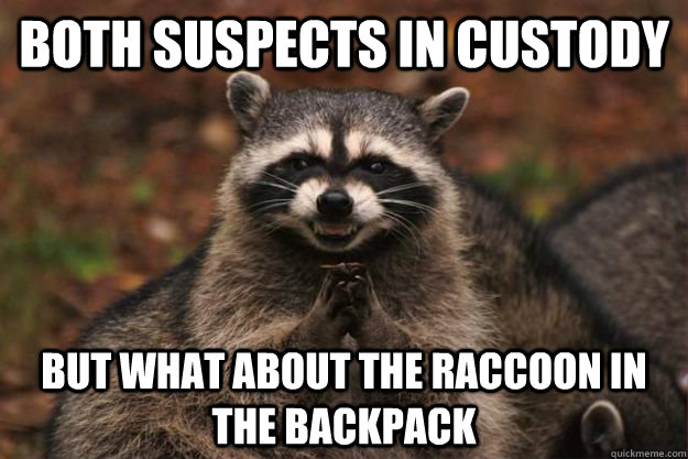 Both suspects in custody but what about the raccoon in the backpack - Both suspects in custody but what about the raccoon in the backpack  Evil Plotting Raccoon