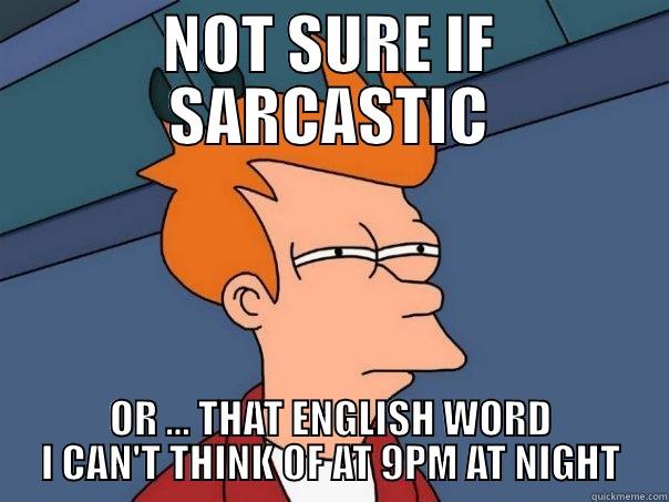 NOT SURE IF SARCASTIC OR ... THAT ENGLISH WORD I CAN'T THINK OF AT 9PM AT NIGHT Futurama Fry