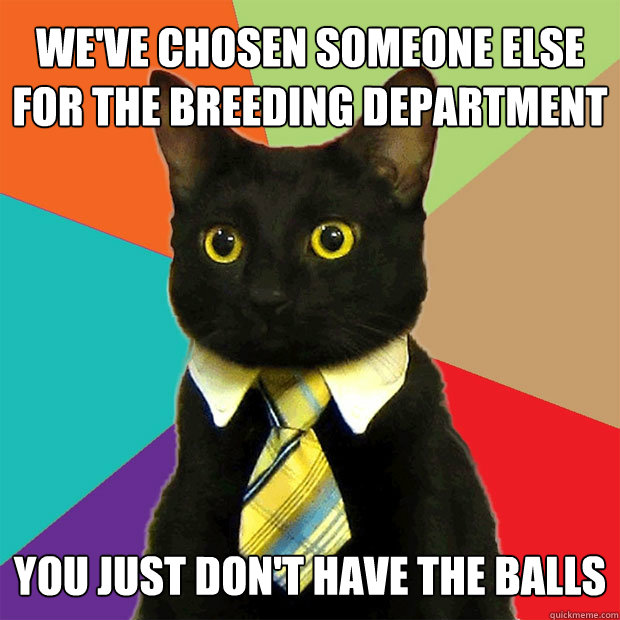 We've chosen someone else for the breeding department You just don't have the balls  Business Cat