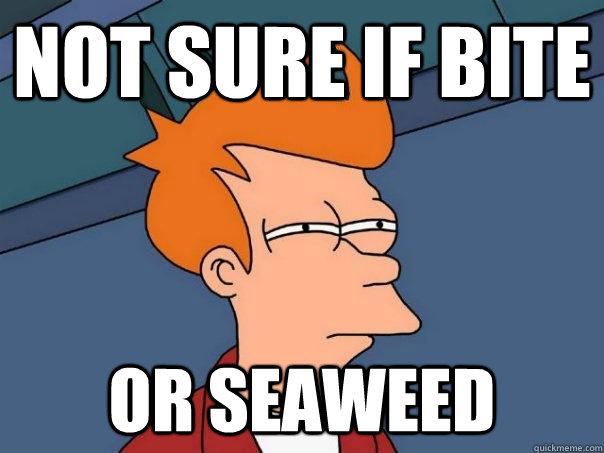 Not sure if bite or seaweed  Futurama Fry