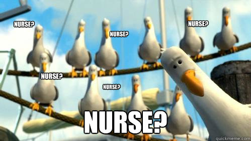 Nurse? Nurse? Nurse? Nurse? Nurse? Nurse?  Finding Nemo Seagulls