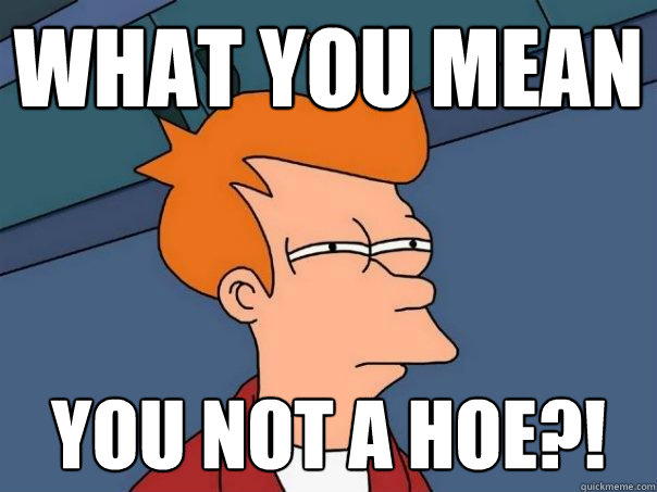 What you mean YOU NOT A HOE?! - What you mean YOU NOT A HOE?!  Futurama Fry