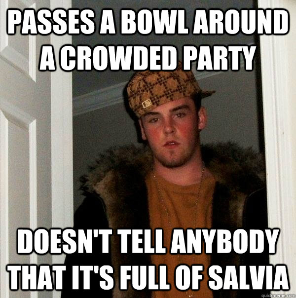 Passes a bowl around a crowded party Doesn't tell anybody that it's full of Salvia  Scumbag Steve