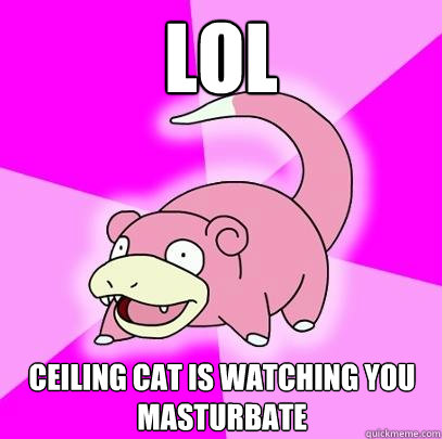 LOL ceiling cat is watching you masturbate - LOL ceiling cat is watching you masturbate  Slowpoke