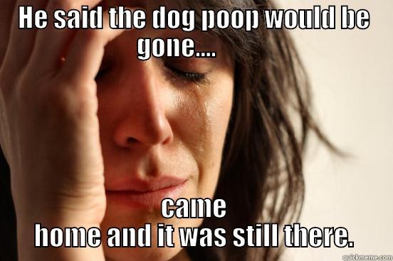 Give it a catchy title. Be creative! - HE SAID THE DOG POOP WOULD BE GONE....        CAME HOME AND IT WAS STILL THERE. First World Problems