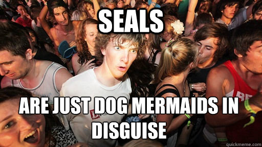 Seals  Are just Dog Mermaids in disguise  Sudden Clarity Clarence