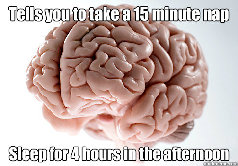 Tells you to take a 15 minute nap Sleep for 4 hours in the afternoon  - Tells you to take a 15 minute nap Sleep for 4 hours in the afternoon   Scumbag Brain