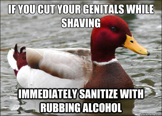 if you cut your genitals while shaving
 immediately sanitize with rubbing alcohol  Malicious Advice Mallard