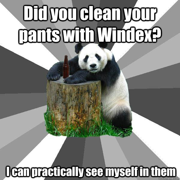 Did you clean your pants with Windex?  I can practically see myself in them  Pickup-Line Panda