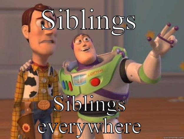 SIBLINGS SIBLINGS EVERYWHERE Toy Story