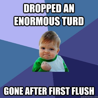 dropped an enormous turd gone after first flush - dropped an enormous turd gone after first flush  Success Kid