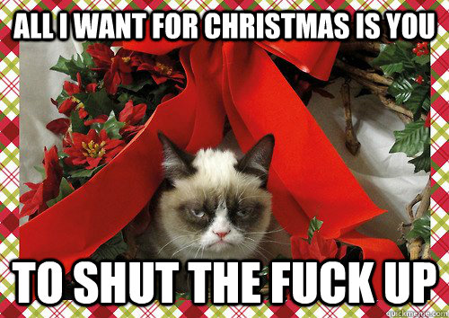 All i want for christmas is you to shut the fuck up  A Grumpy Cat Christmas