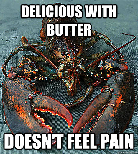 Delicious with butter doesn't feel pain - Delicious with butter doesn't feel pain  Bad Luck Lobster