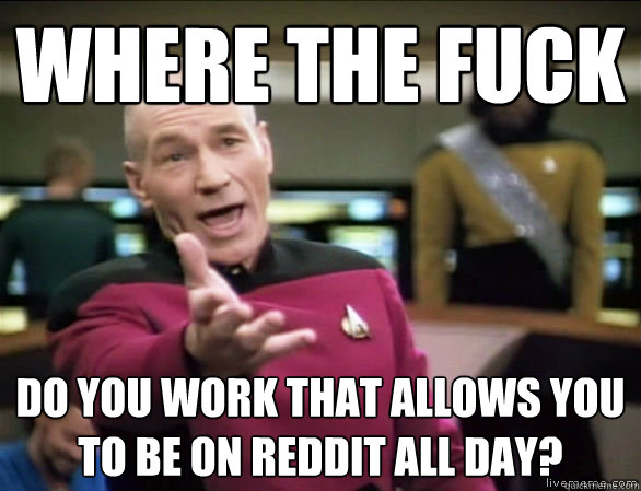 where the fuck do you work that allows you to be on reddit all day?   Annoyed Picard HD