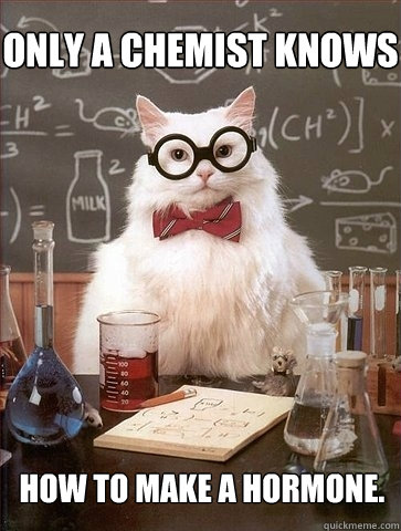 Only a chemist knows how to make a hormone. - Only a chemist knows how to make a hormone.  Chemistry Cat