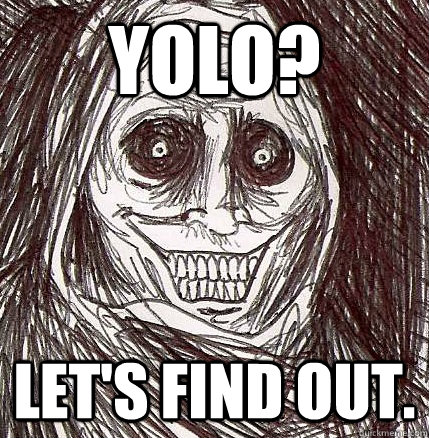 Yolo? Let's find out.  Horrifying Houseguest