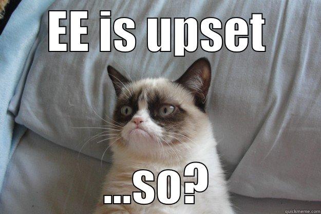 EE IS UPSET ...SO? Grumpy Cat