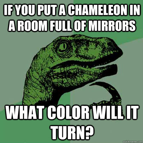 if you put a chameleon in a room full of mirrors what color will it turn?  Philosoraptor