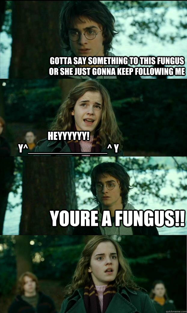 GOTTA SAY SOMETHING TO THIS fungus OR SHE JUST GONNA KEEP FOLLOWING ME HEYYYYYY! y^______________^ y YOURE A FUNGUS!!  Horny Harry