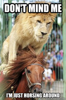 don't mind me i'm just horsing around  Most Awesome Lion Ever