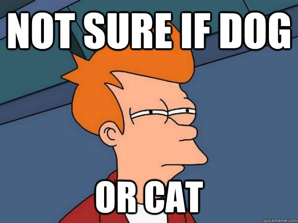 not sure if dog or cat  Futurama Fry