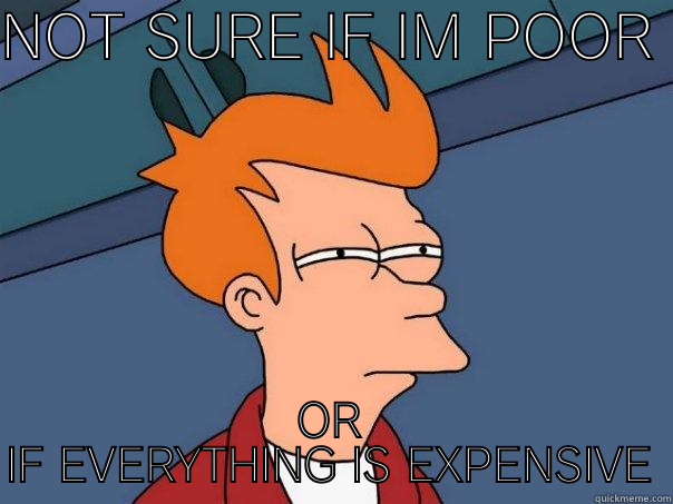 NOT SURE IF IM POOR  OR IF EVERYTHING IS EXPENSIVE Futurama Fry