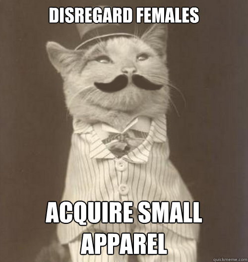 disregard females acquire small apparel
  Original Business Cat