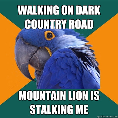 Walking on dark country road mountain lion is stalking me  Paranoid Parrot