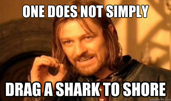 One Does Not Simply drag a shark to shore  Boromir