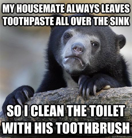 My housemate always leaves toothpaste all over the sink so i clean the toilet with his toothbrush  Confession Bear