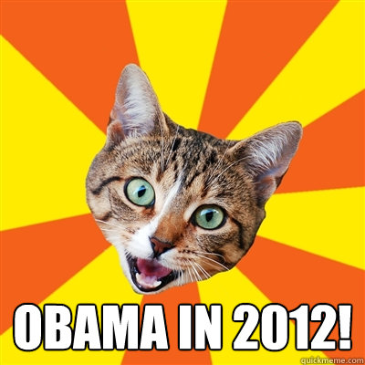  Obama in 2012!  Bad Advice Cat