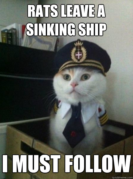 rats leave a sinking ship i must follow - rats leave a sinking ship i must follow  Captain kitteh