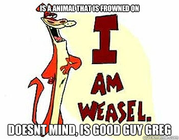 is a animal that is frowned on doesnt mind, is good guy greg - is a animal that is frowned on doesnt mind, is good guy greg  Wonderful weasel