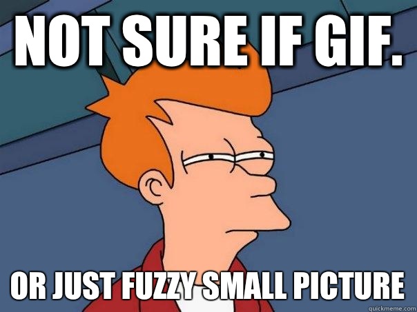 Not sure if Gif. Or just fuzzy small picture  Futurama Fry