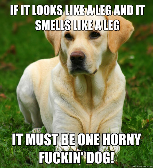 if it looks like a leg and it smells like a leg it must be one horny fuckin' dog!  Dog Logic