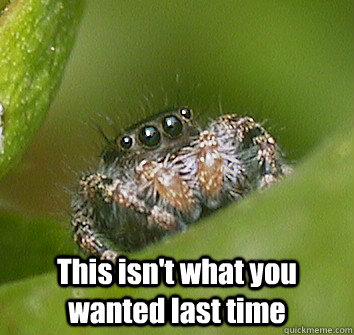  This isn't what you wanted last time  Misunderstood Spider