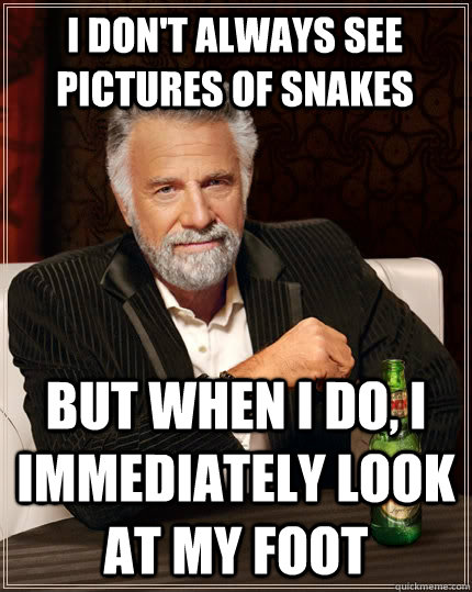 I don't always see pictures of snakes but when i do, i immediately look at my foot   The Most Interesting Man In The World