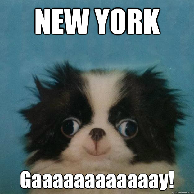 NEW YORK Gaaaaaaaaaaaay! - NEW YORK Gaaaaaaaaaaaay!  Megusta Puppy