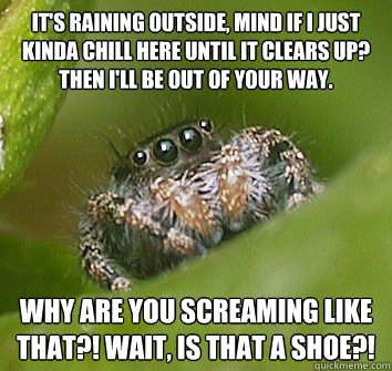 it's raining outside, mind if i just kinda chill here until it clears up? Then i'll be out of your way. why are you screaming like that?! wait, is that a shoe?!  Misunderstood Spider