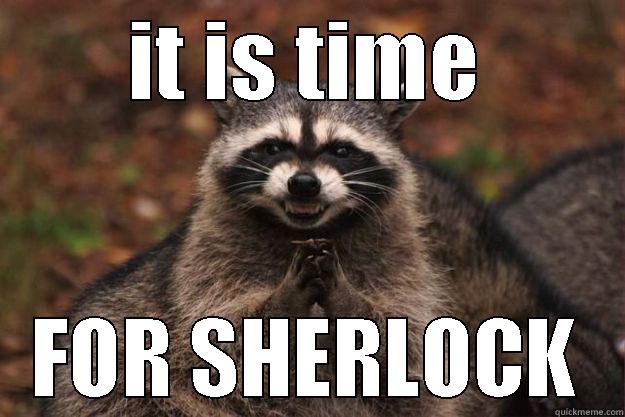 time for sherlock - IT IS TIME FOR SHERLOCK Evil Plotting Raccoon