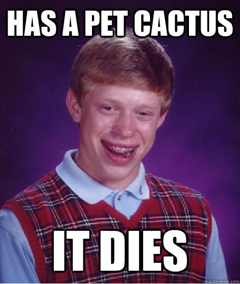 Has a pet cactus  It dies  - Has a pet cactus  It dies   Bad Luck Brian