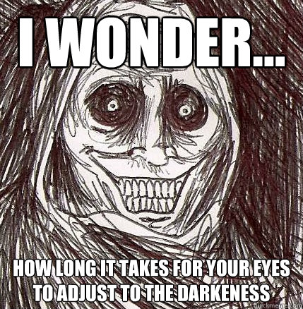 I Wonder... How long it takes for your eyes to adjust to the darkeness  Horrifying Houseguest