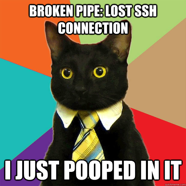 Broken pipe: LOST SSH CONNECTION I just pooped in it  Business Cat