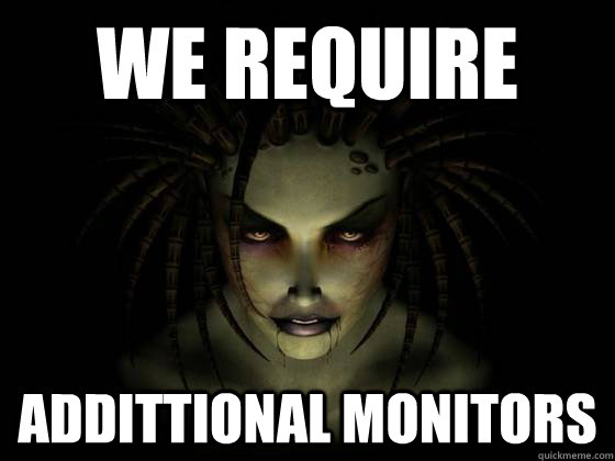 WE REQUIRE ADDITTIONAL MONITORS  WE REQUIRE