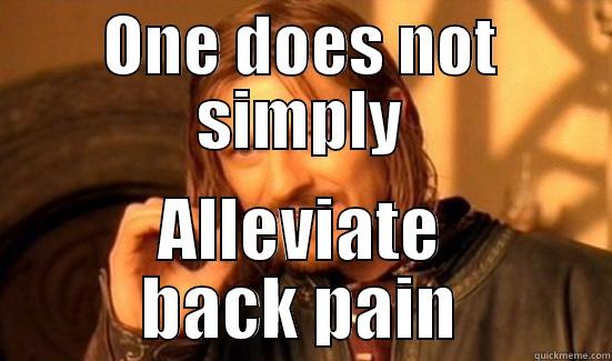 ONE DOES NOT SIMPLY ALLEVIATE BACK PAIN Boromir