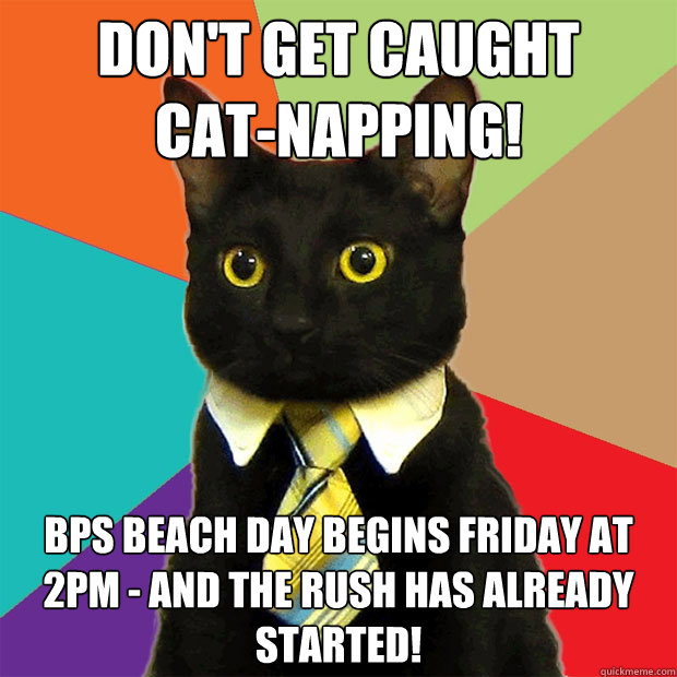 Don't get caught      cat-napping! BPS Beach Day begins Friday at 2pm - and the rush has already started!  Business Cat